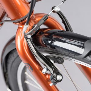 ridgeback speed bury bronze brakes