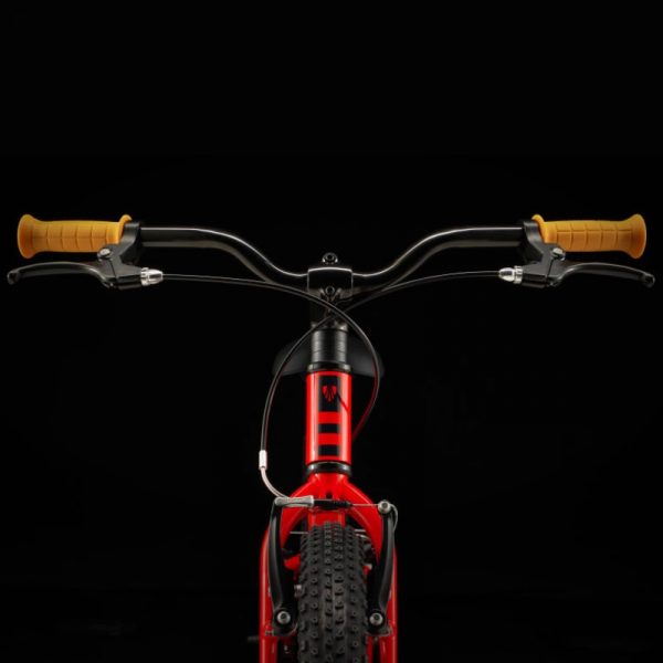 Trek Precaliber 20 Freewheel Viper Red Kids Bike (5)