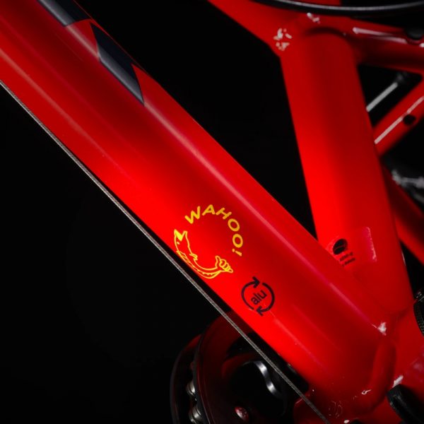 Trek Wahoo 20 Kids Hybrid Bike Viper Red (3)
