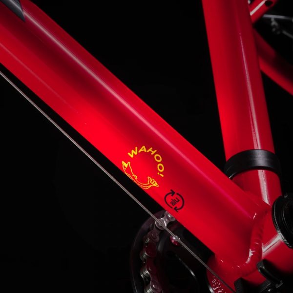 Trek Wahoo 24 Kids Hybrid Bike Viper Red (2)
