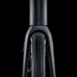 Trek Domane AL 5 Carbon Fork