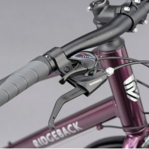 Ridgeback Speed Open Frame Purple (1)