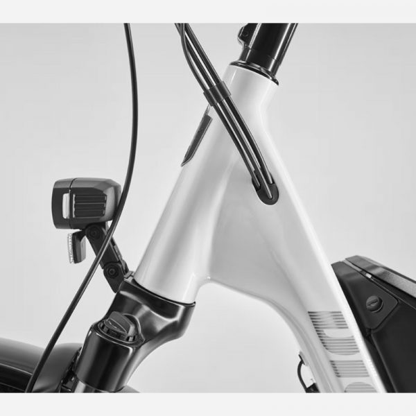 Diamant Zing Trip Core Electric Bike