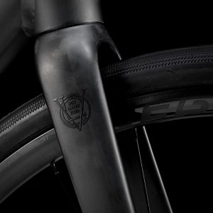 Trek Domane AL 2 Gen 4 with Carbon Fork