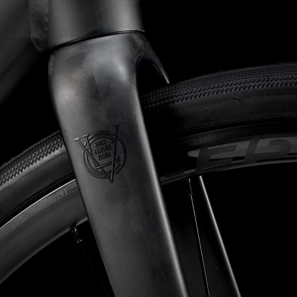 Trek Domane AL 2 Gen 4 with Carbon Fork